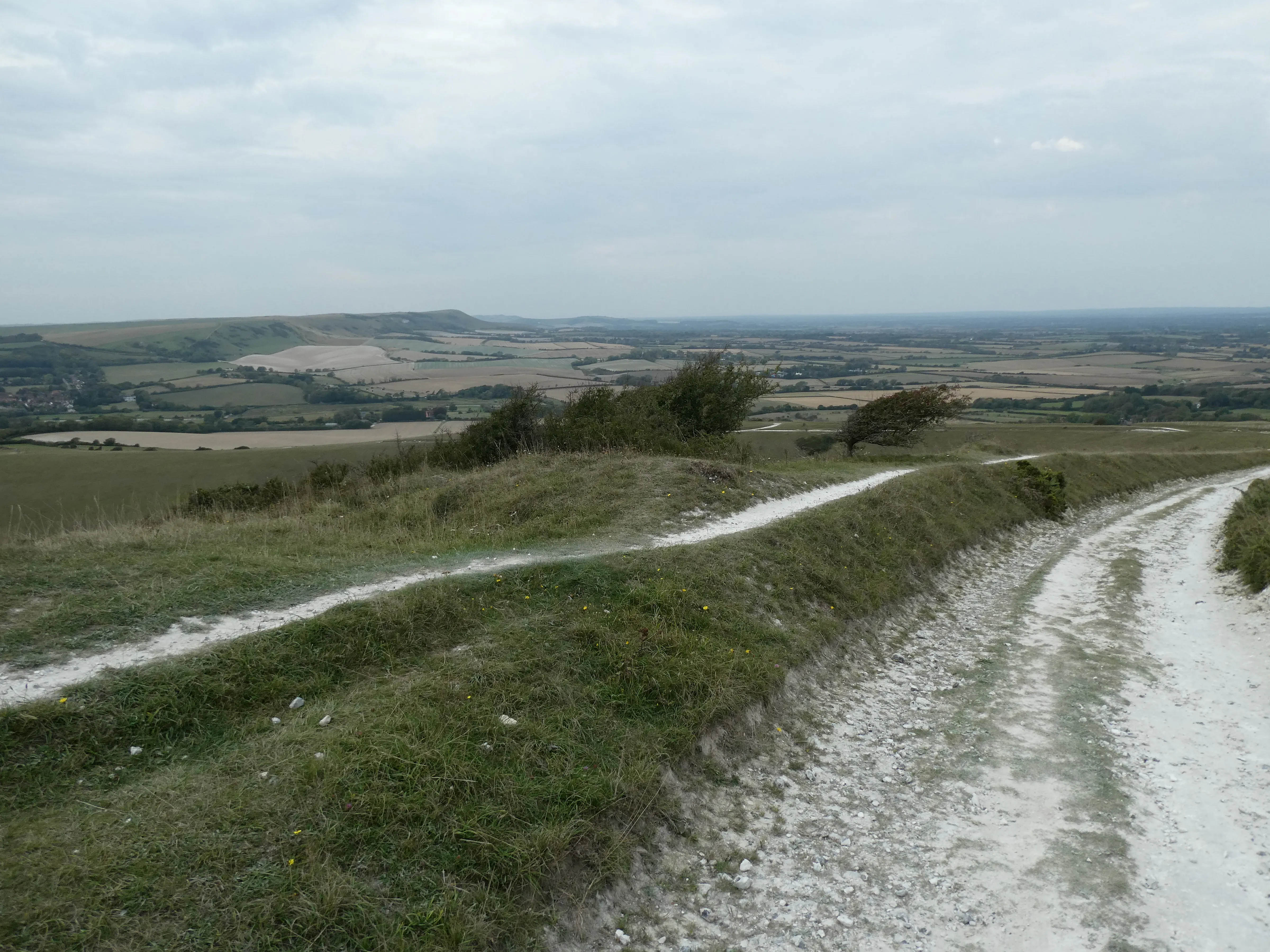 South Downs Way