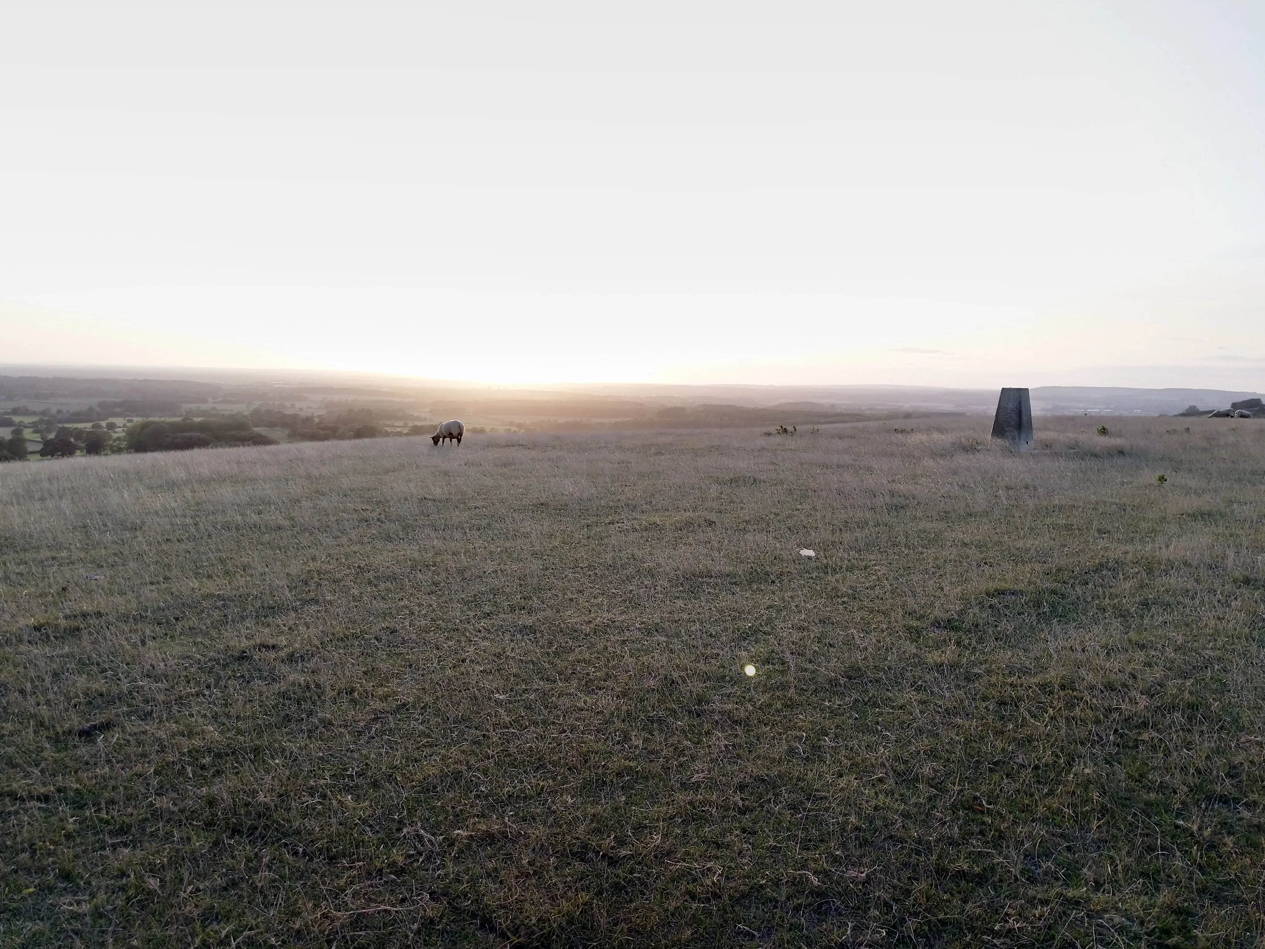 Trig point on Wye Downs