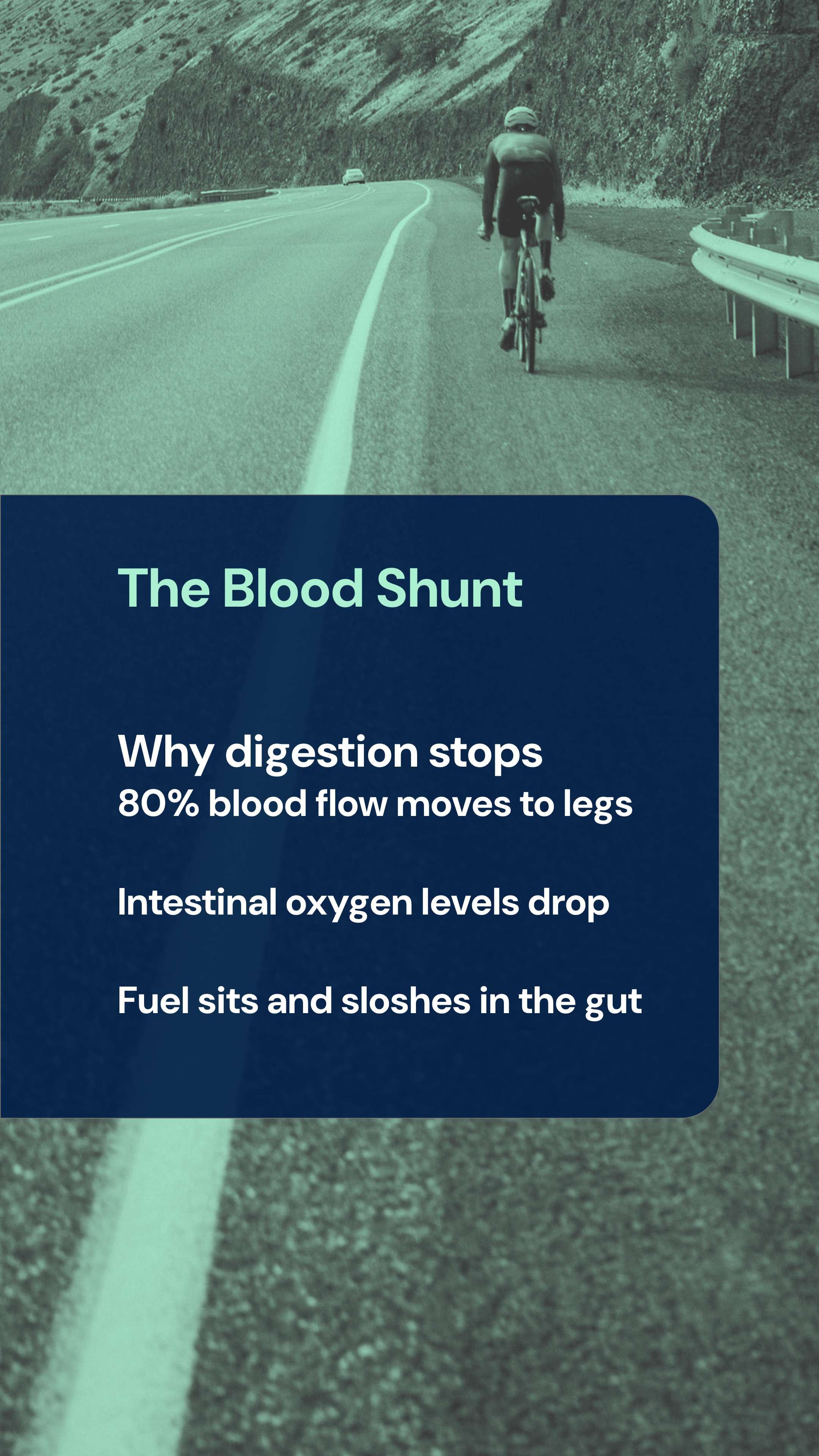 Why digestion stops